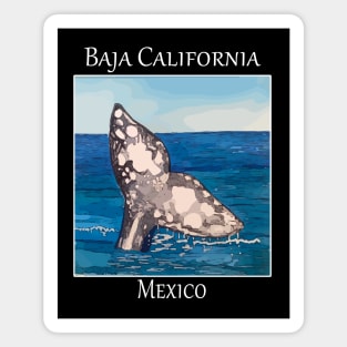 Whale Tail in Baja California Mexico Magnet